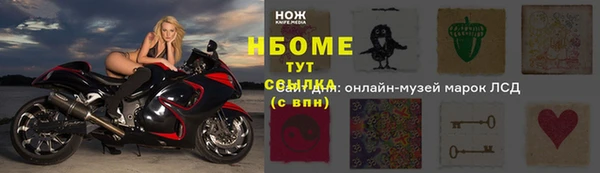 гидра Арсеньев