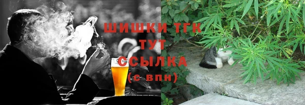 гидра Арсеньев
