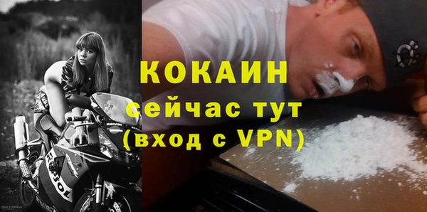 гидра Арсеньев