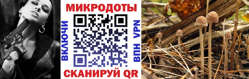 Галлюциногенные грибы GOLDEN TEACHER  Райчихинск 